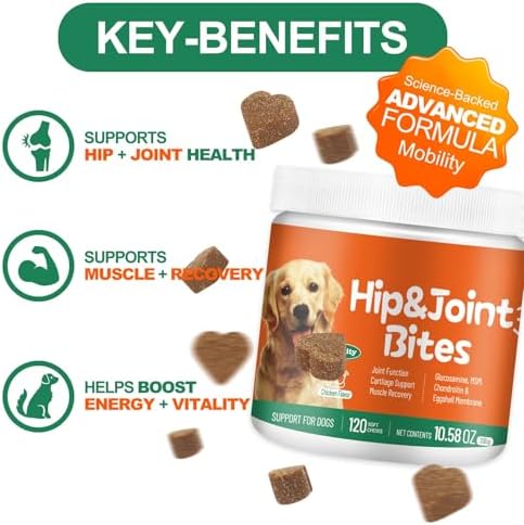 Hip & Joint Health Supplement for Dogs, 120 Soft Chews, Glucosamine Chondroitin MSM Dog Chews with Hyaluronic Acid, Chicken Flavored Bone & Joint Support for All Breeds