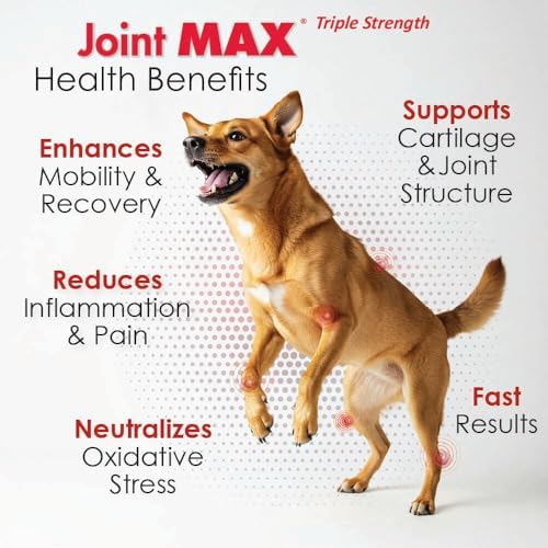 TS Joint Supplement Vet Formulated Pain & Inflammation Relief Treats Hip Dysplasia & Arthritis.Glucosamine, Chondroitin, Turmeric, MSM, HA, Creatine, Omega 3 EPA+DHA. All Dogs 240 Soft Chews