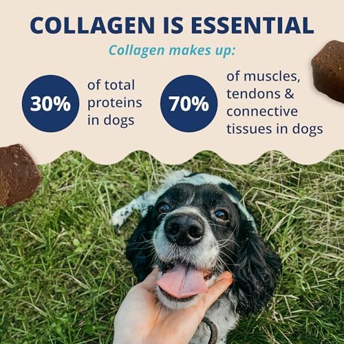 Under the Weather Collagen Chews for Dogs | Promotes Healthy Skin Coat and Stronger Hip & Joint | Improves Overall Mobility | Immunity and Anti-inflammatory Collagen for Dog Supplement | 60 Count