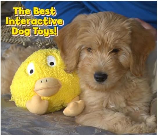 Interactive Motion Activated Bouncing Talking Dog Toy (Freddie), Exercise and Entertainment Pet Toy for Dogs and Puppies
