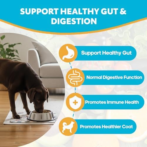 Dog Probiotic Supplement for Digestive Gut Support