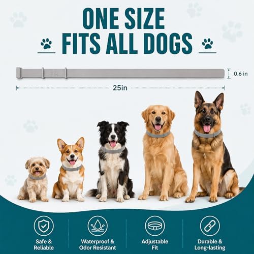 Calming Collar for Dogs, 6-Pack, 25 Inch, Grey