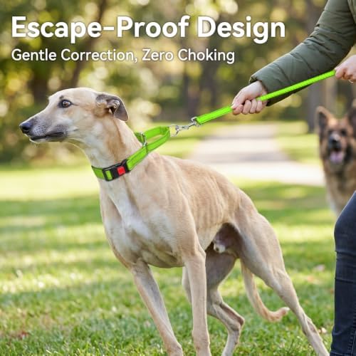 Joytale Martingale Collar for Dogs, Escape Proof No Pull, Green, M