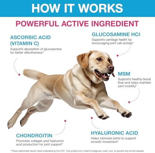 Dog Hip and Joint Supplement, Glucosamine for Dogs, Chondroitin Drops for Dogs, Pain Relief for Dogs, Dog Supplement for Joint Health, Mobility Pain Relief, Bacon Flavor-2 Oz/60ml