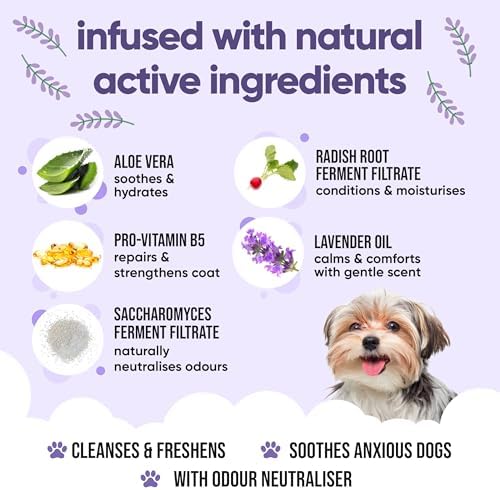Calming & Deodorising Dog Shampoo by Buddycare | Lavender Scented | with Aloe Vera and Pro Vitamin B5 (169.07oz)