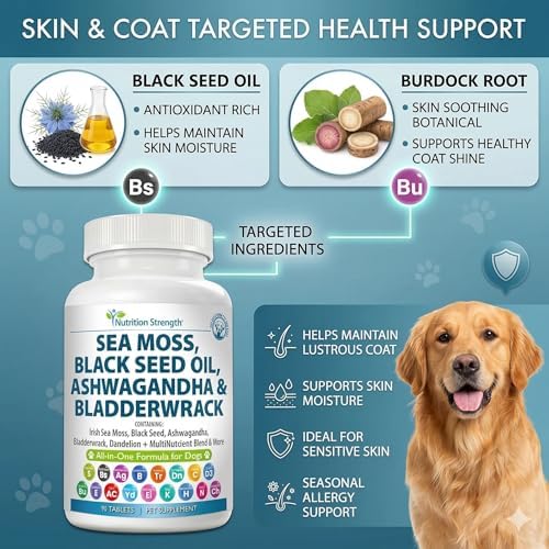 Sea Moss for Dogs | Daily Vitality & Allergy Relief