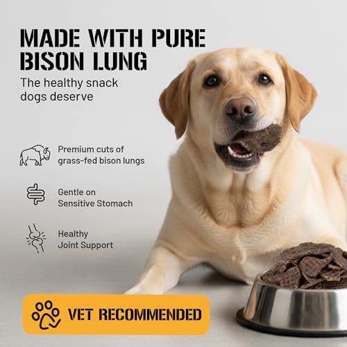 Dog Chits Bison Lung Fillets for Dogs – All-Natural, High Protein Single Ingredient Dog Treats Bison Lung Dog Treats – Grain-Free, Low-Fat – Safe with Sensitive Stomachs – 6 oz