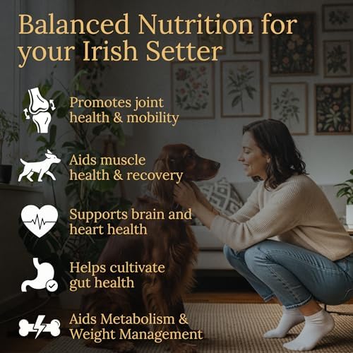 Irish Setter Multivitamins, 90 Count, Made in the USA with Real Bacon.