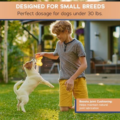 Joint Support Minis for Small Breeds - 60ct