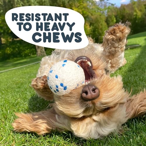 Petface Outdoor Paws Mighty Ball Dog Toy, Large (Pack of 1) | Extra Strong ETPU Material, for Fetch & Bounce, Floats on Water