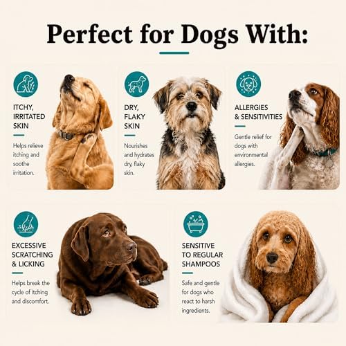 Natural Dog Company Sensitive Skin Dog Shampoo Gallon – Hypoallergenic Oatmeal Shampoo for Dogs, Professional Groomer & Multi-Pet Dog Wash with Aloe Vera & Manuka Honey, Odor Control, 128 oz