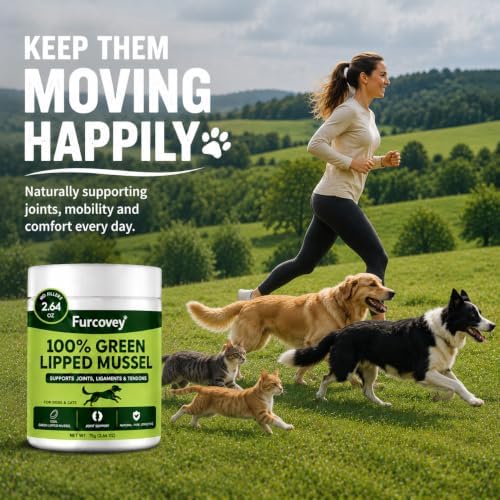 Green-Lipped Mussel Powder for Dogs & Cats Joint Support