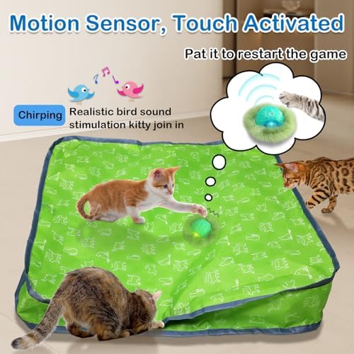 Waaiio Interactive Cat Toys for Indoor Cats,Automatic Moving Cat Ball in Pouch,Chirping Stimulation,Hide-n-Seek Chase Exercise Game,Motion Activate,Rechargeable Kitten Toys