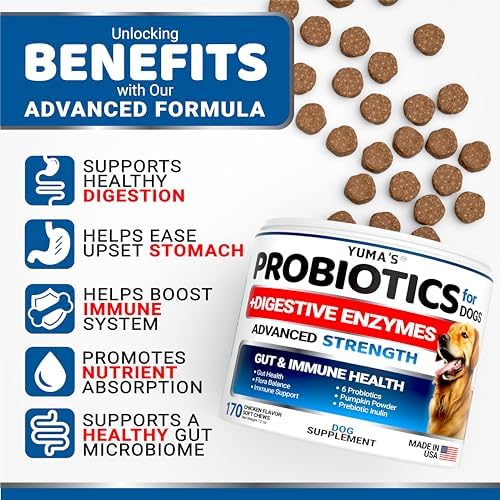 Probiotics for Dogs and Digestive Enzymes, 170 Treats, Dog Probiotics Chews