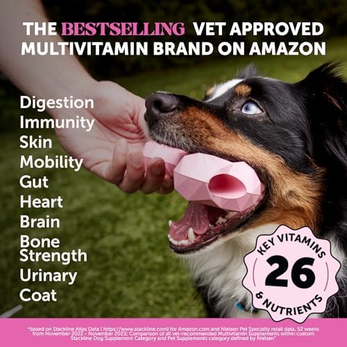 Pet Honesty Health & Allergy Relief Virtual Bundle Duo — Multivitamin 10-in-1 Chews (90 ct) + Allergy & Itch Relief Chews (90 ct)