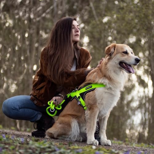 MyFamily Polyester Dog Bib Made in Italy, Your Dog's Master Data Always with You, Smartphone Connection with NFC Technology, Model K, memopet Collection