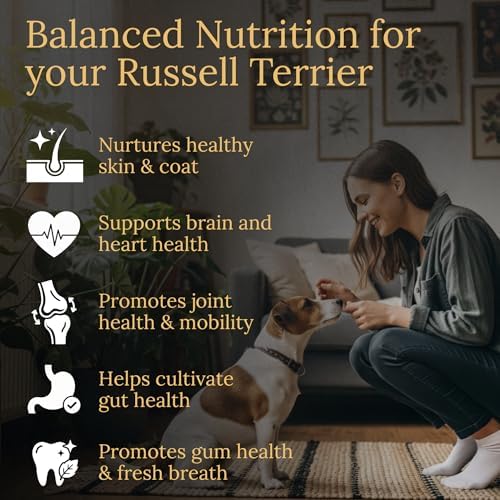 Russell Terrier Multivitamins, 90 Count, Made in the USA with Real Bacon.