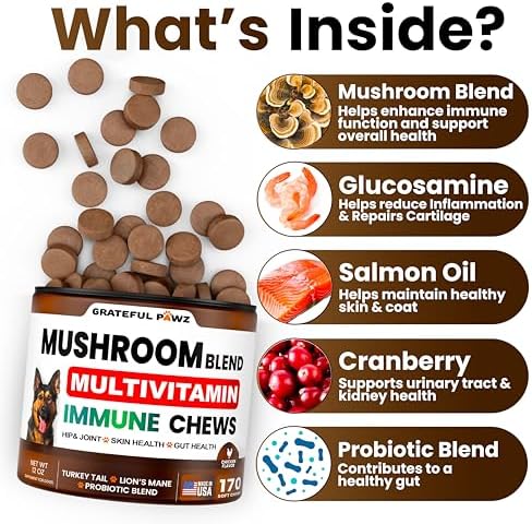 Turkey Tail Mushroom Supplement for Dogs - Mushrooms for Dogs - 170 Chews | Reishi, Lion’s Mane, Glucosamine Multivitamin - Immune Booster, Gut, Hip & Joint Health Support Vitamins, Energy & Skin