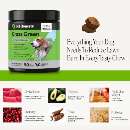 Grass Green Advanced Formula Dog Urine Neutralizer for Lawn Burns - Lawn Saver Supplement for Yellow Spots & Brown Grass, Urinary Health, DL-Methionine, Probiotics & Enzymes (Duck, 90 Ct)