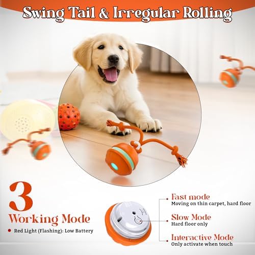 Interactive Dog - Motion Activated Rolling for Puppies & Small Dogs, USB Rechargeable Automatic Pet Ball, Smart Moving Toy for Boredom & Exercise, Durable Dog Chew Toy Orange