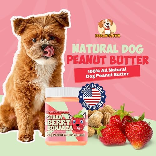 Poochie Butter Strawberry Dog Peanut Butter - Made in USA, Creamy Spread for Lick Mats & Food Toppers - Dry-Roasted Peanuts Non-GMO No Sugar Added Dog Treats | 12 oz (Pack of 2)