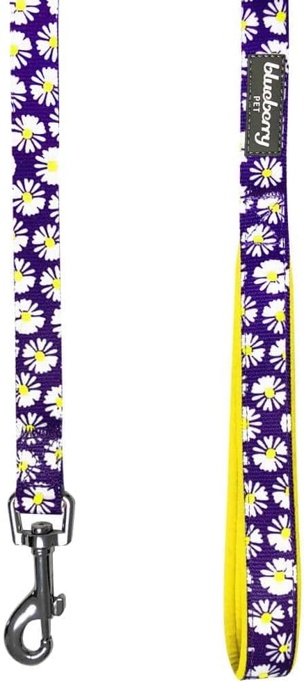 Blueberry Pet 2 Pattern Loving Daisy Prints Dog Leash with Soft & Comfortable Handle, 4 ft x 1", Large, Leashes for Dogs