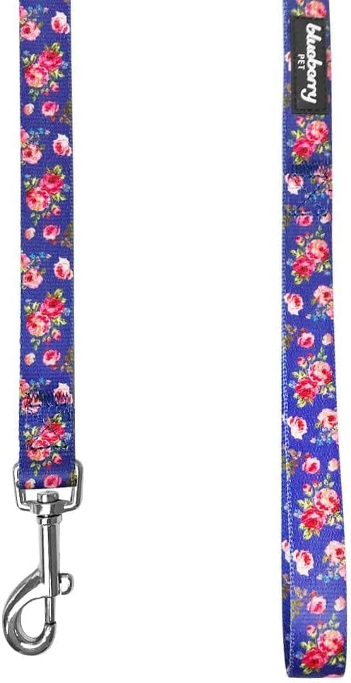 Blueberry Pet 9 Patterns Durable Spring Scent Inspired Rose Print Irish Blue Dog Leash 5 ft x 5/8", Small, Leashes for Dogs