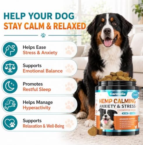 Hemp Calming Chews for Dogs Anxiety and Stress Relief with Melatonin, 200-Pack, 200ct