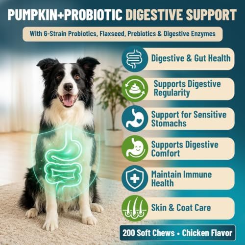 VICSOM Probiotics for Dogs Probiotic Chews, Gut & Immune Support, 200 Ct