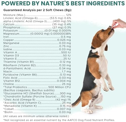12-in-1 Dog Vitamin and Supplement Chews, 60 Ct - Senior and Puppy Vitamin | Glucosamine Chondroitin, Probiotics, Omega 3 - Hip & Joint, Skin & Coat, Immune, Digestive Support - Vitaminas Para Perros