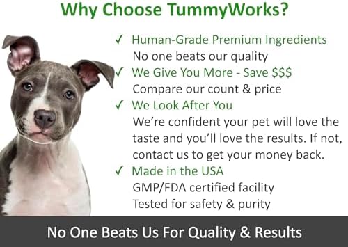 TummyWorks Probiotics for Dogs, Probiotics Chews for Digestive & Gut Health