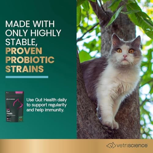 VetriScience Gut Health for Cats, Duck, 60 Count