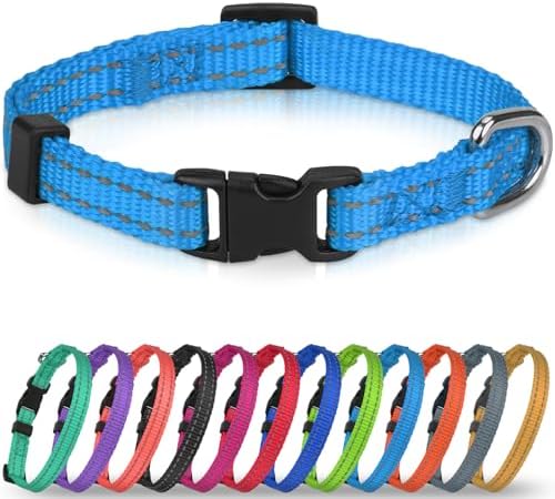 Joytale Feather-Light Puppy Collar for Extra Small Dogs, 3/8", Sky Blue