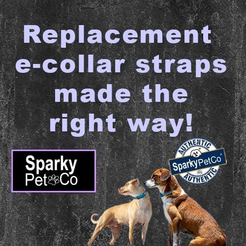 Replacement GPS eCollar with Adjustable Bungee, Multi-Hole Design, and Secure Toggle Closure for Small Dogs (Black, Small Neck)