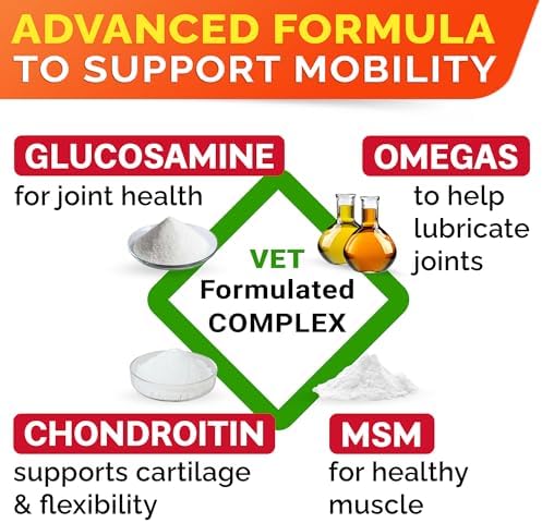 Senior Advanced Glucosamine for Dogs, Chondroitin Hip Joint Supplement Chew