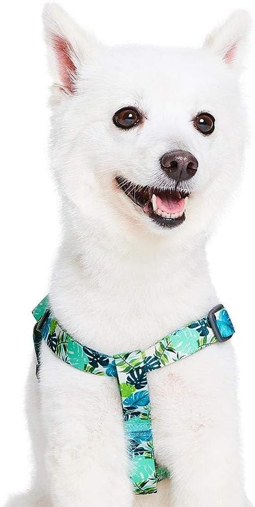 Blueberry Pet Essentials Step-in Spring Scent Inspired Garden Floral Dog Harness in Light Purple, Chest Girth 16.5" - 21.5", Small, Adjustable Harnesses for Dogs