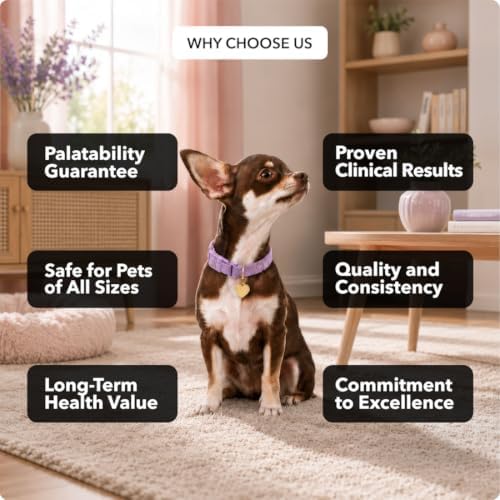 Canine Joint Soft Chews (120 ct) - Glucosamine & MSM Joint Supplement for Dogs - Dog Arthritis Pain Relief – Supports Mobility & Eases Stiffness - Tasty & Easy to Give