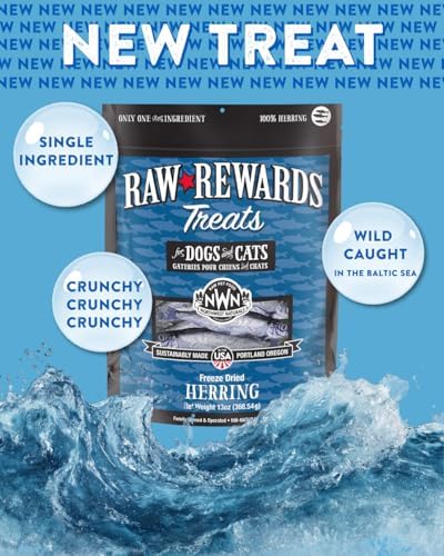 Northwest Naturals Raw Rewards Freeze-Dried Herring Treats - 13oz
