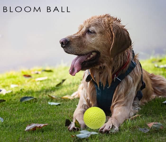 PawfectPals Indestructible Bloom Ball, Floating, Green Velvet