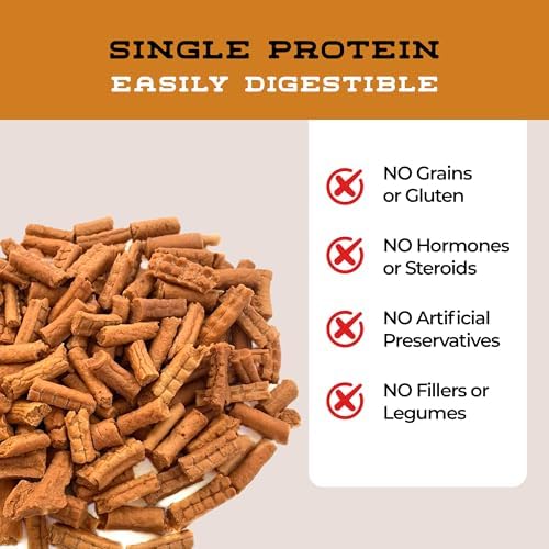Salmon Bakes Grain Free Natural Dog Treats for Small to Large Breed - Low Calorie for Training - High Value, Healthy Dog Treats for Small, Medium & Large Dogs (16oz)
