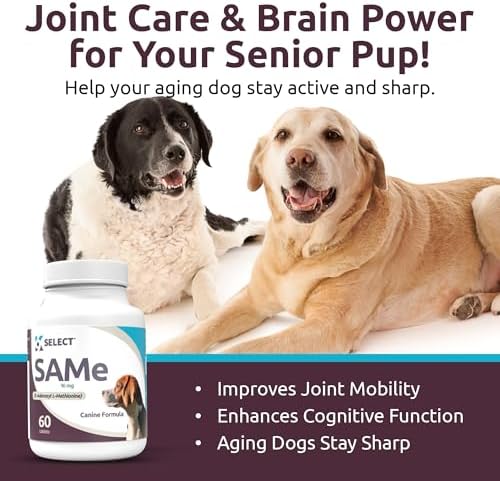 K9 Select SAM-E for Dogs – Dog Liver Supplement for Small and Medium Adult Dogs – Canine Liver Health & Detox – Hepato Support, Multivitamin for Cell-Growth, 60 Tablets