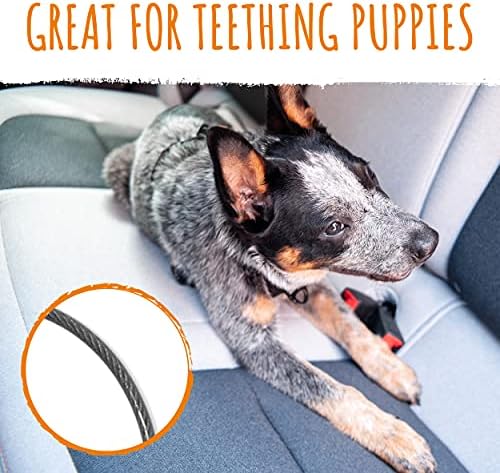 Mighty Paw Dog Seat Belt Vehicle - Chew-Proof Dog Belt - Great for Teething Puppies - Latch Bar Attachment Like Child's Car Seat - Aviation Aluminum Carabiner - Strong Enough for Climbers - 850+ LB