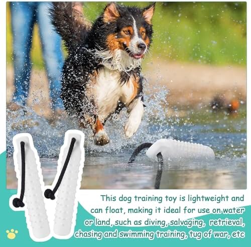 Blueweenly Pure White Dog Bumper Toy Training Dummy, 4 Pcs | Plastic Lightweight Floats on Water, Textured with Rope for Fetch, Pool Outdoor Retrieving, Summer Water Play