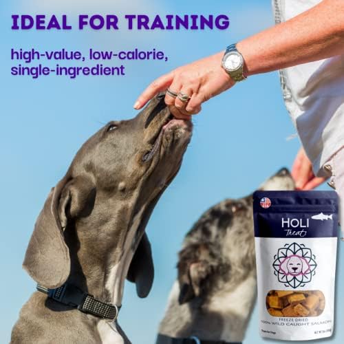 HOLI Freeze-Dried Wild Caught Salmon Dog Treats