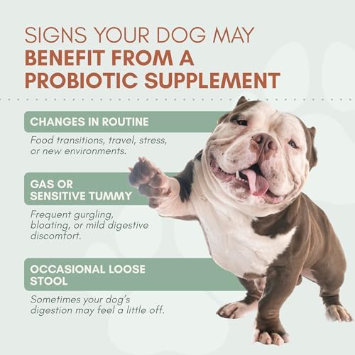 Dog Probiotics with Prebiotics, Digestive Enzymes, Pumpkin Fiber & Colostrum, Daily Gut Health Support for Diarrhea, Gas & Bloating, Six-Strain Probiotic Blend, 60 Beef Flavor Chews