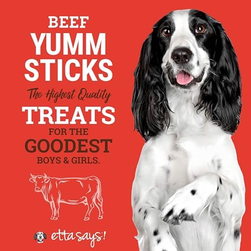 Etta Says! Yumm Sticks Beef Jerky Dog Treats - 12ct