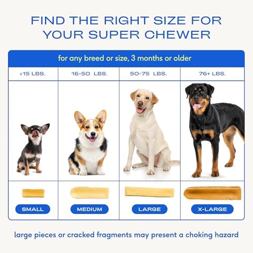 Native Pet Yak Cheese Himalayan Dog Chews - Long Lasting Dental Sticks for Small Breeds– 100% All Natural Himalayan Yak Chews for Small Dogs – Cheese Bone for Aggressive Chewers - 5 Per Pack