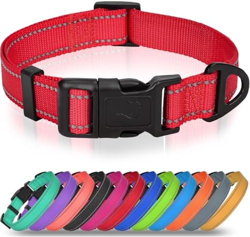 Joytale Feather-Light Dog Collar for Medium & Large Dogs, 1", Red