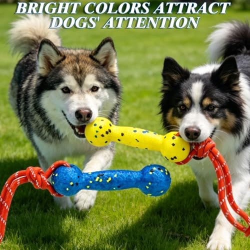 EXPAWLORER Floating Dog Toys 2 Pack, Durable ETPU Dog Water Toys with Rope, Interactive Pool Toy Dummy Bumper for Water Fetch Retrieving, Pool Beach Lake Fetch, Not for Aggressive Dogs