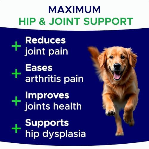 Glucosamine for Dogs Hip & Joint Supplement - Chondroitin, Omega-3, MSM - Joint Health & Pain Relief - Senior & Large Dogs - Made in USA - 180 Mobility Chews